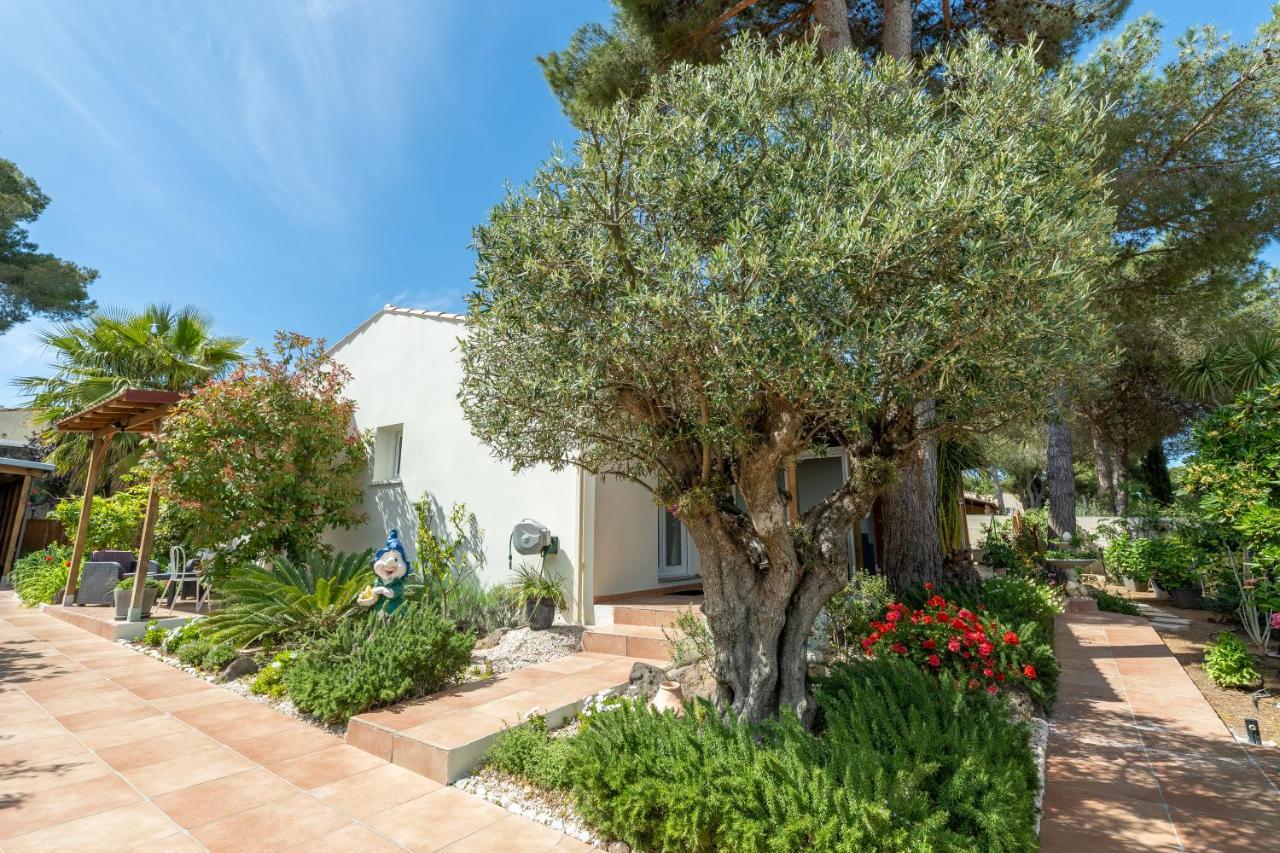 La Villa De L'Olivier 阿格德 外观 照片